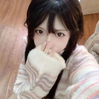 猫咪寻熊记